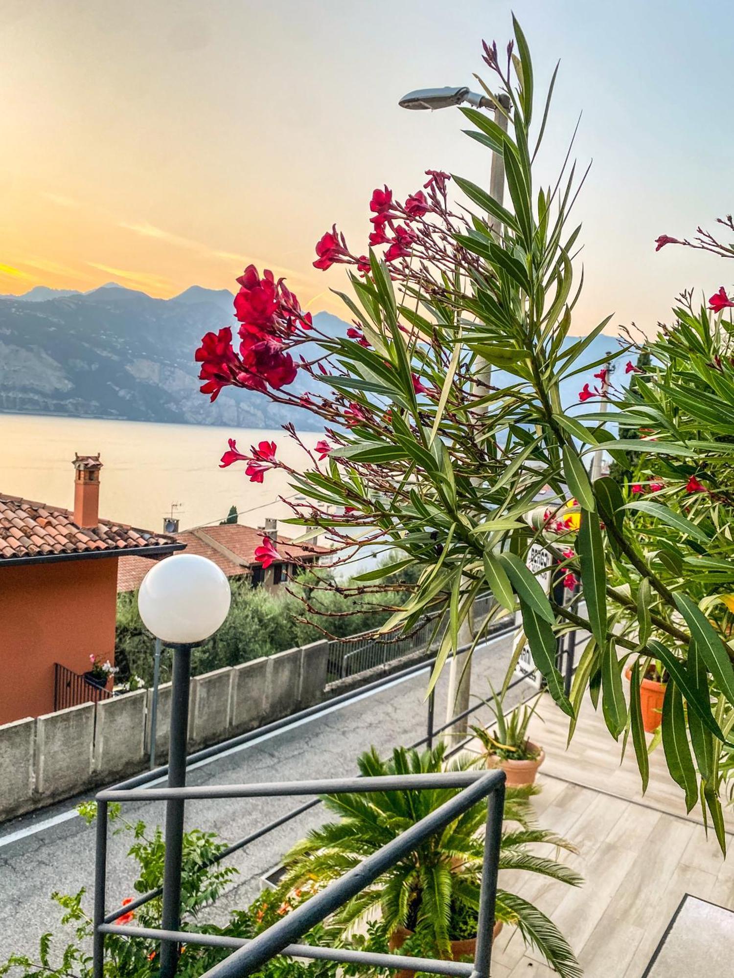 Villa Emma Μαλτσεζίνε Εξωτερικό φωτογραφία